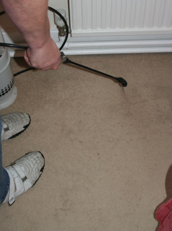 Carpet Cleaning Minehead