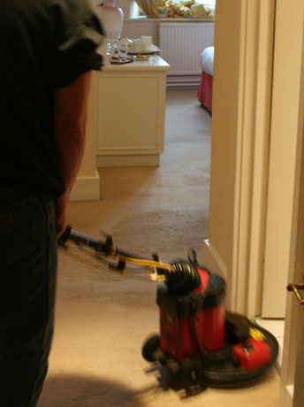 Carpet Cleaning Wellington