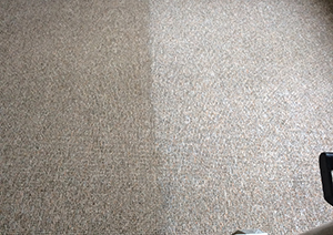 Somerset carpet cleaning