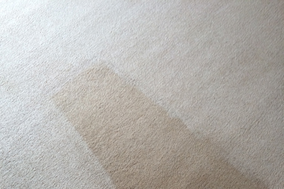 Carpet Cleaning Taunton