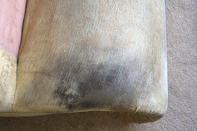 Carpet Cleaning Taunton