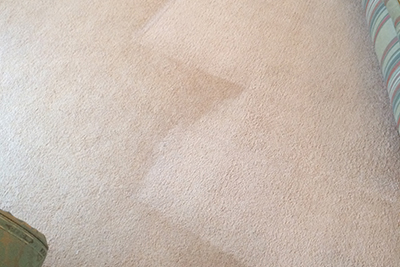 Taunton Carpet Cleaning