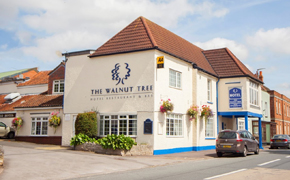 Carpet Cleaning Somerset